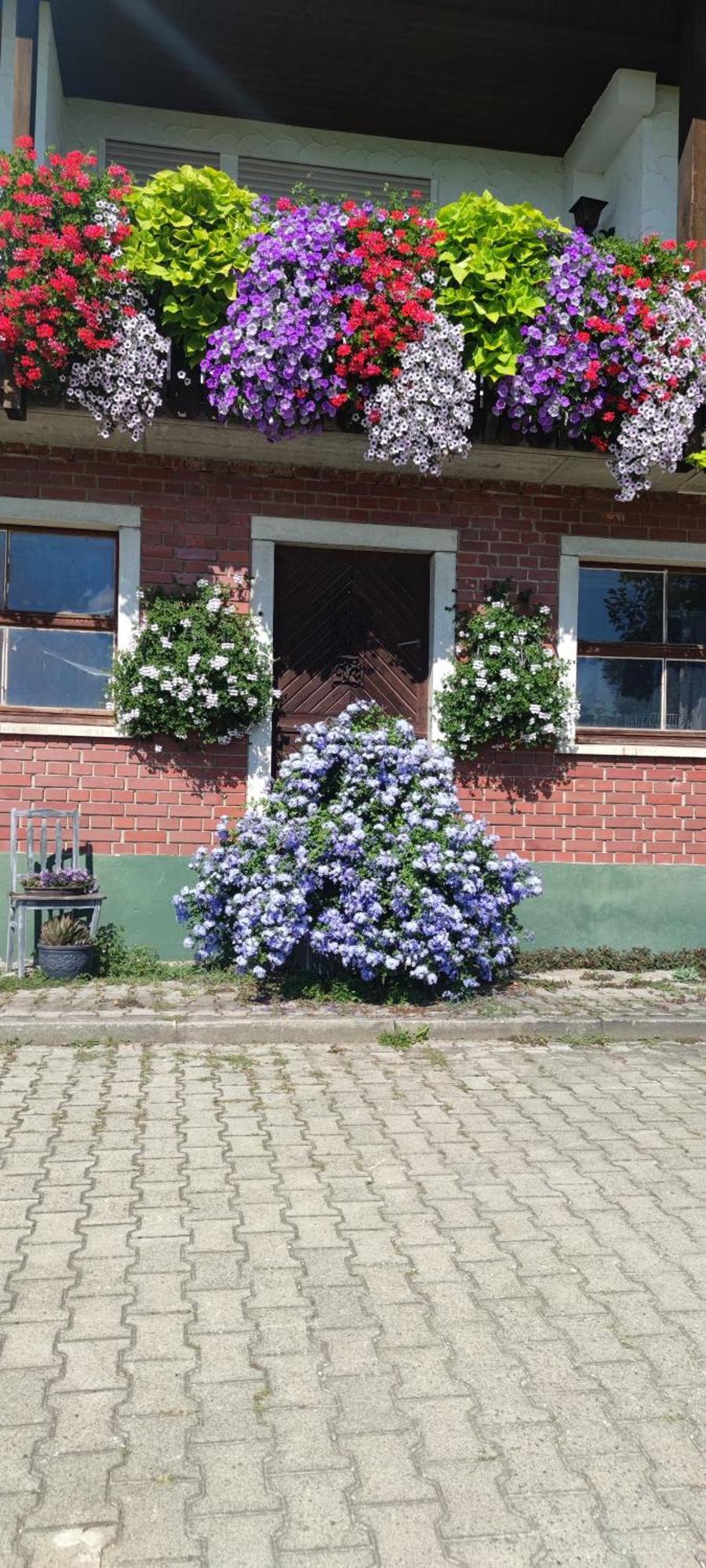 Gaestehaus Fechtig Hergensweiler 外观 照片