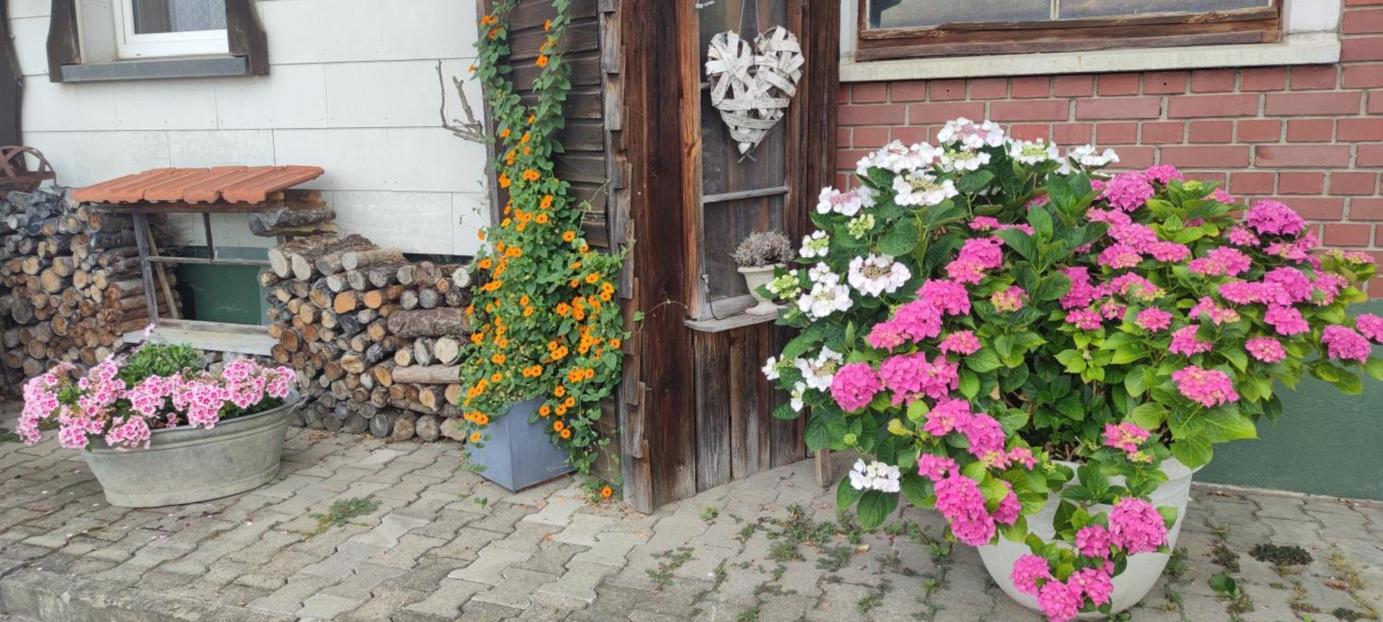 Gaestehaus Fechtig Hergensweiler 外观 照片