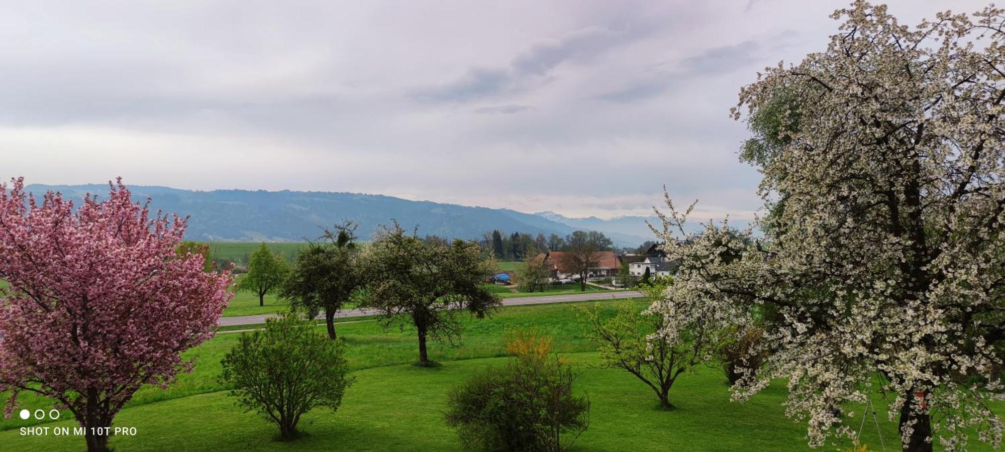 Gaestehaus Fechtig Hergensweiler 外观 照片